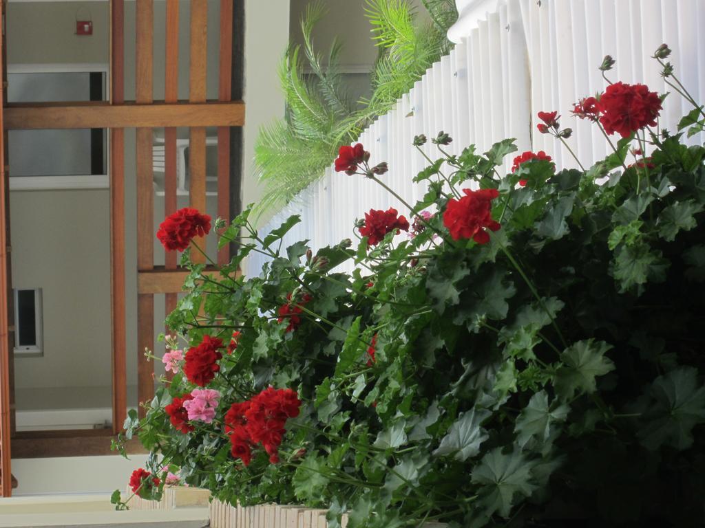 Hotel Geranius Ingleses Florianopolis Exterior photo